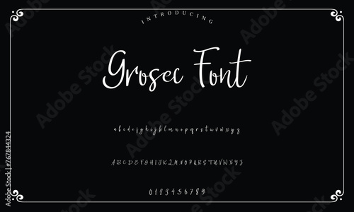 Lettering signature font isolated on background. brus style alphabet. Vector logo letters.