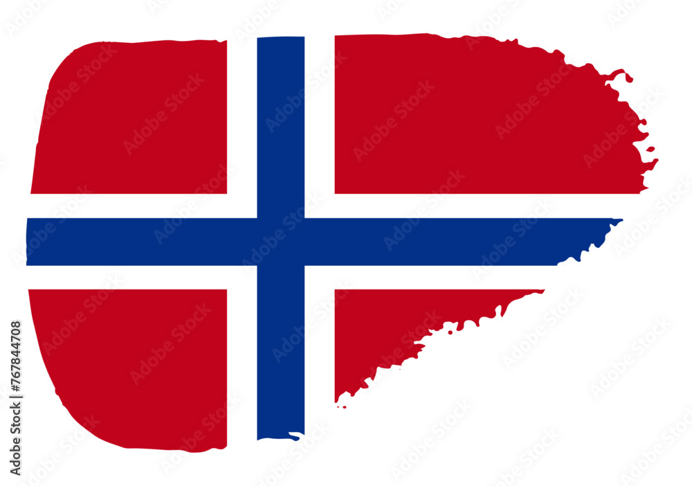 Fototapeta premium Norway flag with palette knife paint brush strokes grunge texture design. Grunge brush stroke effect