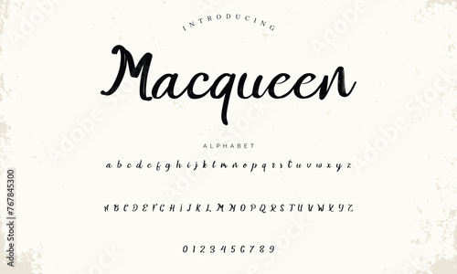 Lettering signature font isolated on background. brus style alphabet. Vector logo letters.