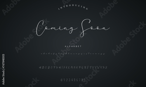 signature Font Calligraphy Logotype Script Brush Font Type Font lettering handwritten
