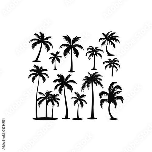 Black palm tree set vector illustration isolated on white background silhouette art black white stock illustration logo icon png. tropical  beach  landscape  pattern  paradise 