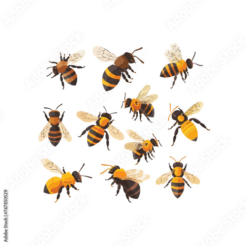 Honey bee set. Cartoon flying insects, winged honeybee, cute striped bumblebee insects flat vector illustration collection © Svitlana