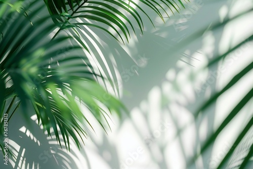 Blurred shadow from palm leaves on the light white wall. Minimal abstract background for product presentation. Spring and summer.