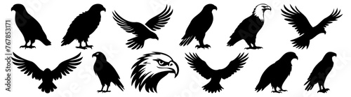 Eagle silhouette set vector design big pack of illustration and icon