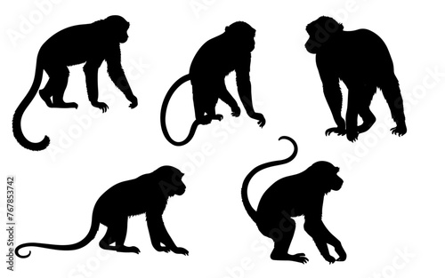 set of a monkey silhouette vector illustration