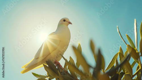 White dove sits on olive tree. Sunny day, light blue sky backdrop. Peace concept. Generative AI © AngrySun