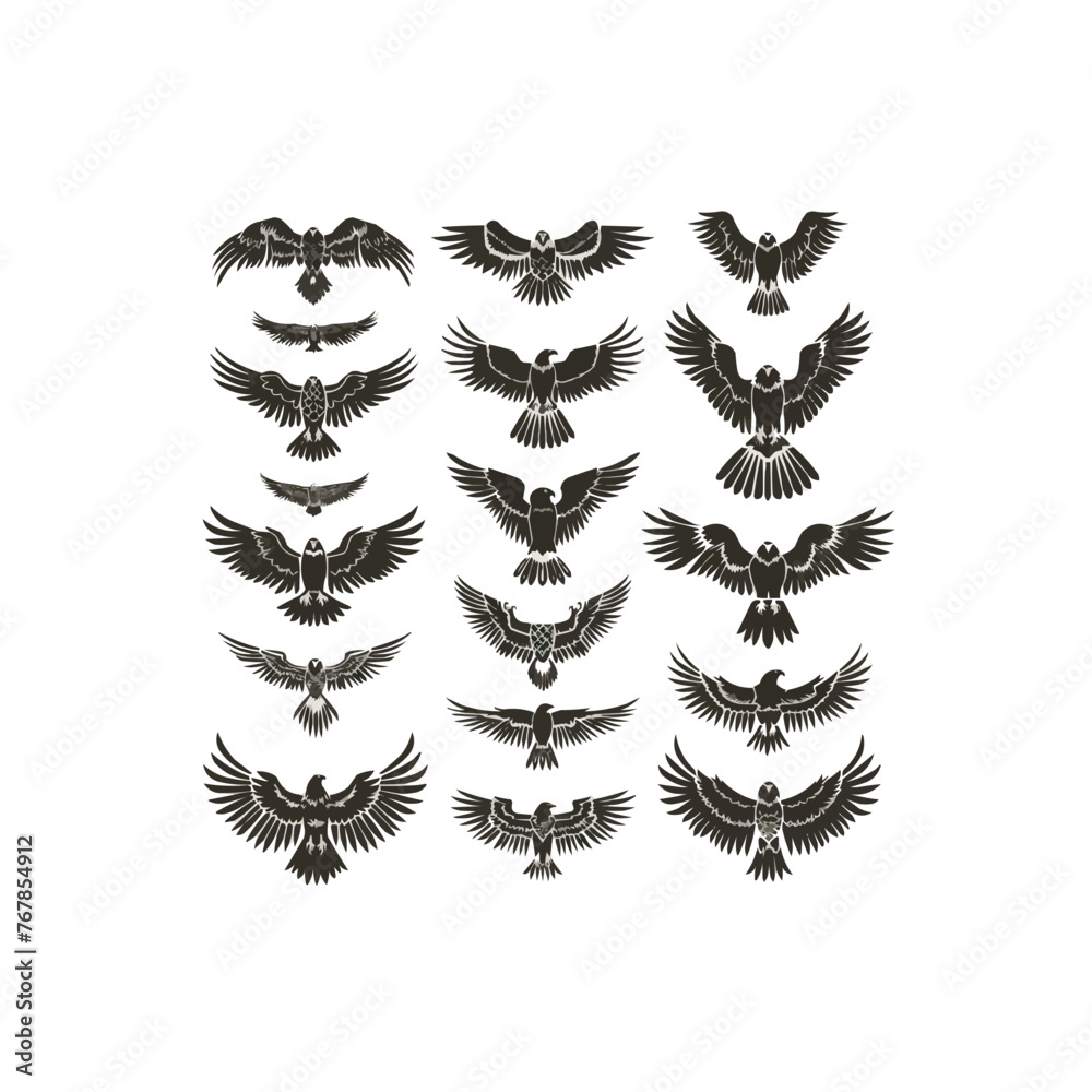 A collection of black and white birds in various poses A collection of black and white birds in various poses