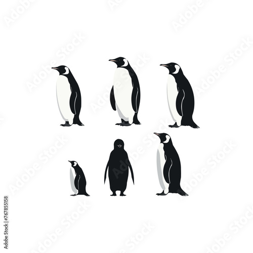collection of penguin silhouette vecto