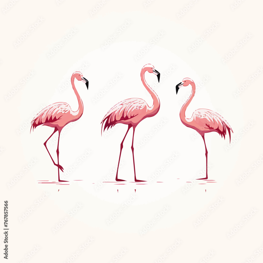 Flamingo | Minimalist and Simple set of 3 Line White background