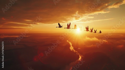 Birds flying over the clouds.
