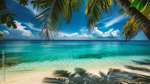 Tropical beachwith palm trees and turquoise water