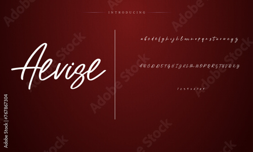 signature Font Calligraphy Logotype Script Brush Font Type Font lettering handwritten