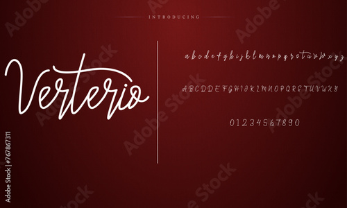 signature Font Calligraphy Logotype Script Brush Font Type Font lettering handwritten