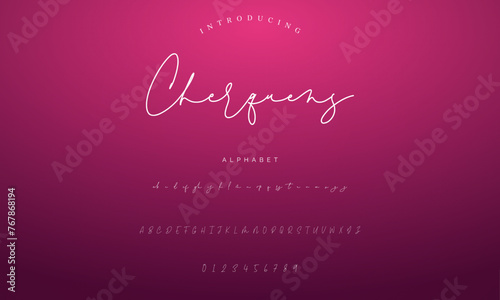 signature Font Calligraphy Logotype Script Brush Font Type Font lettering handwritten