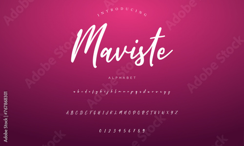 signature Font Calligraphy Logotype Script Brush Font Type Font lettering handwritten