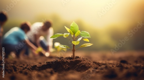 A group of people are planting a tree in the dirt photo