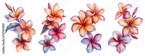 Watercolor plumeria set on transparent background.