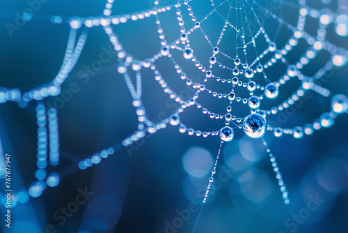 dewdrops on a spider web with blue background