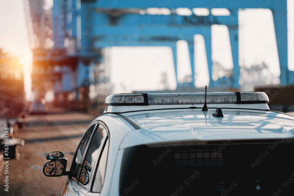 Obraz premium Customs Clearance Inspection Control Of Freight Goods In The Trade Port. Customs Clearance Inspection Control Of Freight Goods In The Trade Port. Immigration Border Control In The European Port