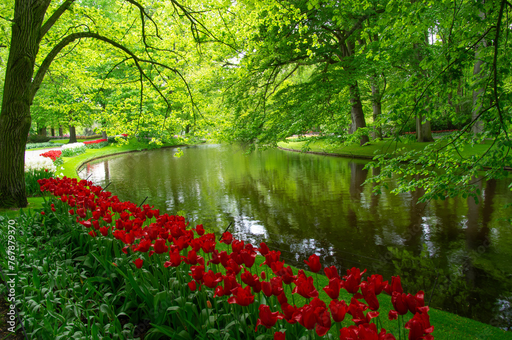 Garden with blooming spring flowers