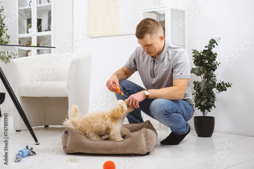 Man interacts with his pet dog, engaging in play and bonding, cozy living room setting. Supportive foam pet Couch and toys