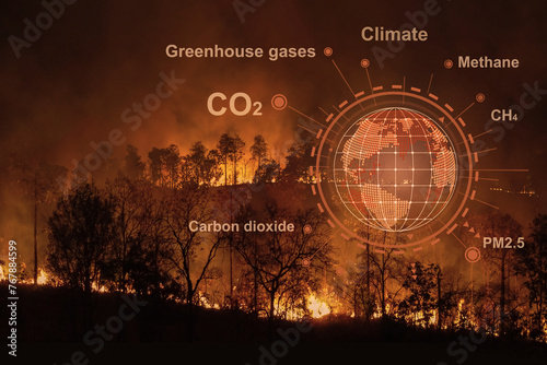 Forest fires are emitting substantial amounts of greenhouse gases and particulate matter into the atmosphere photo