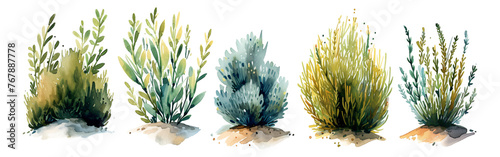 Watercolor style plant elements collection photo