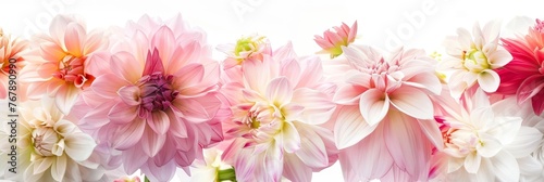 Collection of beautiful natural flowers on a white background.