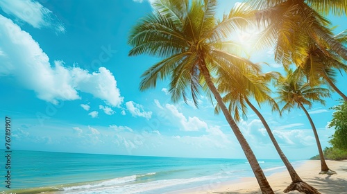 Coconut palm trees along the beach with blue sky background in sunny day. Sun-kissed shores, swaying trees