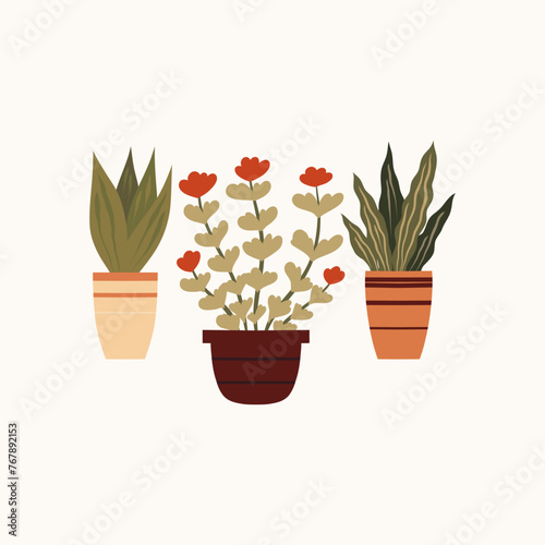Vector flat hand drawn illustration of home plants and flowers in clay pots. Composition of flowerpots in gentle beige colors. Home hobby and flower shop.