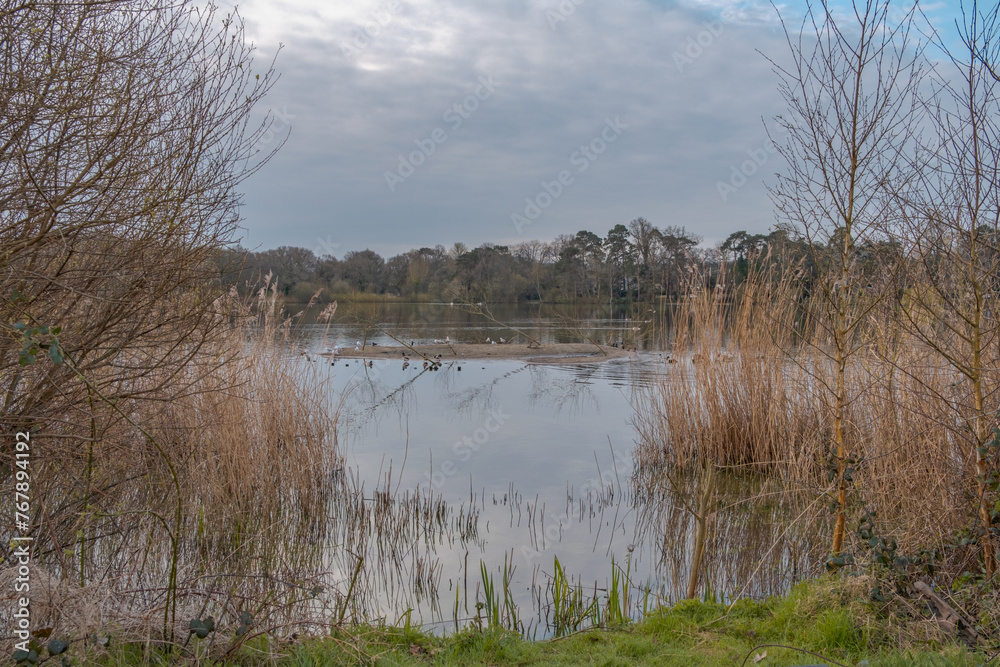 Morning walk at Petersfeild heath pond, Hampshire, UK