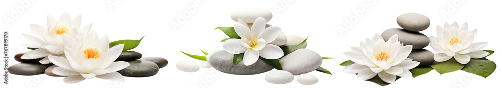 Set of tranquil spa stones and lotus blooms, cut out Set of tranquil spa stones and lotus blooms, cut out