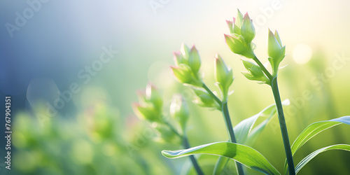 Green grass and chamomiles in the nature, Spring flowers grass plants nature spring macro, Gentle Spring Background Generative ai