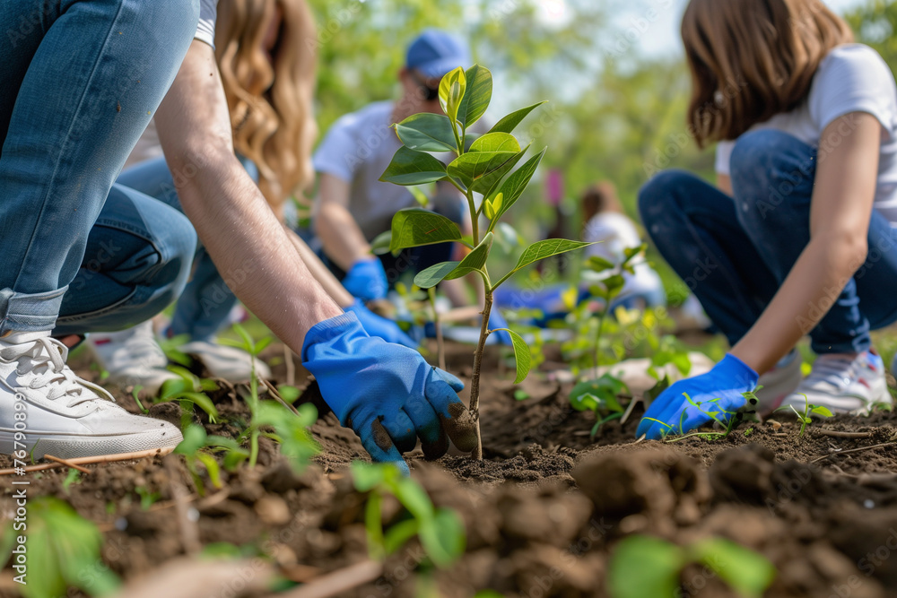 Fototapeta premium A person planting trees to produce local food and improve the environment. Community involvement
