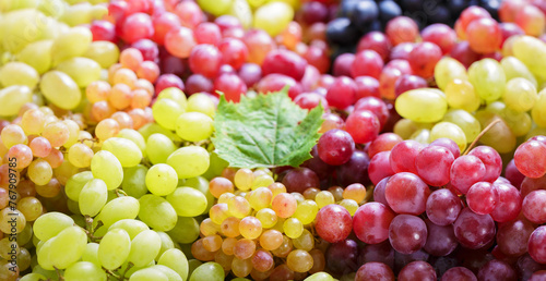 mix of colorful grape as background