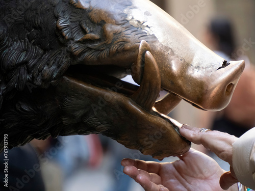 Billede på lærred Detail of Hand touching good luck copper pig statue in Florence rite of fortune