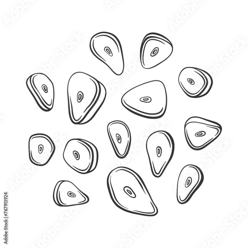 Vector outline chopped garlic. Cut garlic cloves illustration. Condiment and spicy ingredient for cooking.