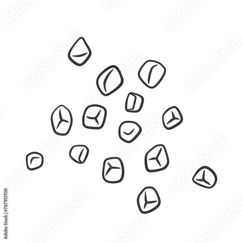 Vector outline chopped garlic pieces. Cut garlic illustration. Condiment and spicy ingredient for cooking.