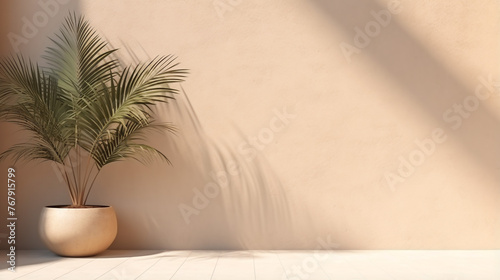 Minimal product placement background with palm © rida