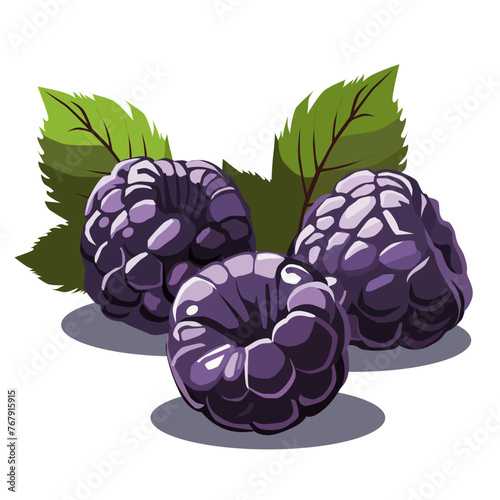 Handful of blue blackberries on white background. Isolated vector summer berries in flat style