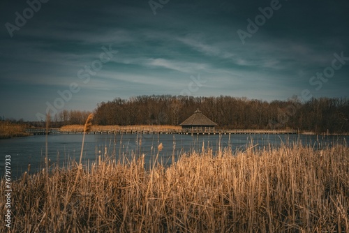 Tranquil pond with lush reeds in the foreground and a cozy boat house in the background.
