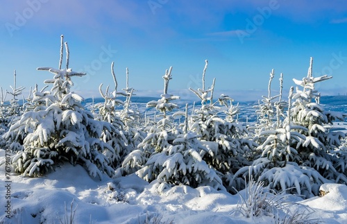 Photography The mountains of Dublin during winter.