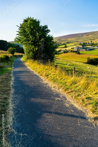 Glencullen Valley In The Wicklow Mountains photo