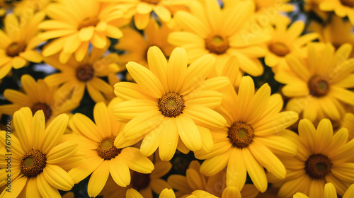 Photo yellow daisies summer background abstract