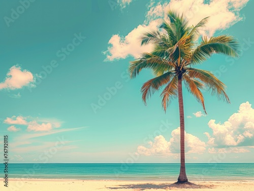 Palm Tree on Tropical Beach - Blue Sky and Fluffy Clouds - Summer Vacation Vibes - Vintage Filter with Copy Space