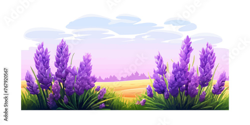 A blooming lavender field vector simple 3d smooth isolated illustration © Sanych