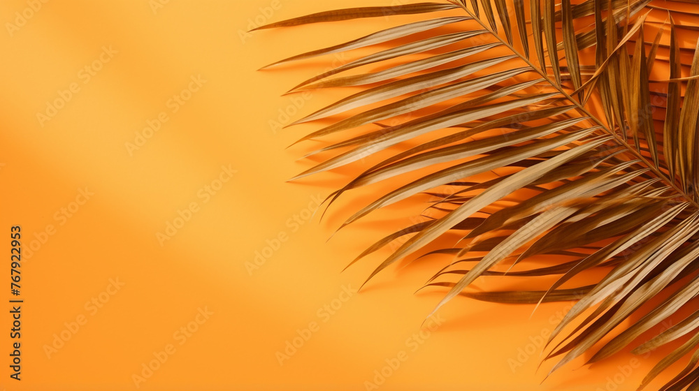 Tropical shadow on orange background Tropic palm