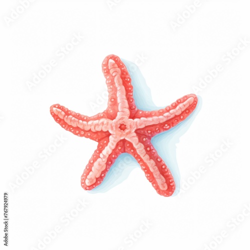 Curious starfish exploring the ocean floor its texture and colors highlighted against white