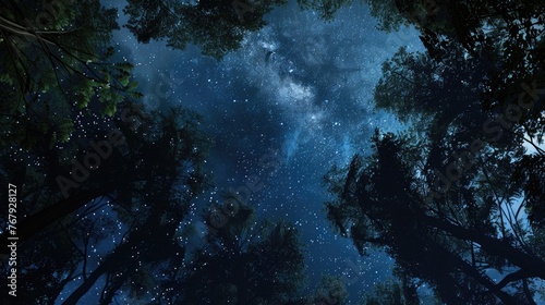stary night looking up in forest  