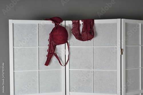 Valokuva White bra and panties hung over a traditional Japanese folding screen